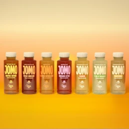 Maté glacé grenade litchi BIO 35 cl - JOMO - vegetalfood