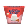 Ricotta vegan 100 g - Dreamfarm - vegetalfood