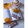 Barre Protéinée recouverte de chocolat Amandes BIO 40g - ROOBAR