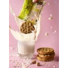 Cookie Pistache & Avoine BIO 50g - KOOKIE CAT