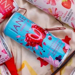 Boisson Energy Gingembre Fruits Rouges 25 cl - JANE - vegetalfood