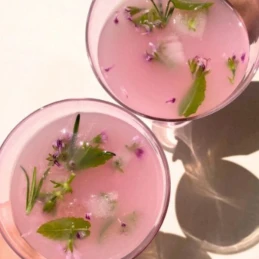 Boisson Collagène Framboise Sureau 25 cl - JANE - vegetalfood