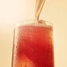 Boisson Energy Gingembre Fruits Rouges 25 cl - JANE - vegetalfood