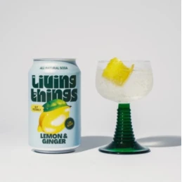 Soda Citron Gingembre 33cl - Living Things - vegetalfood