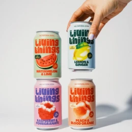 Soda Citron Gingembre 33cl - Living Things - vegetalfood