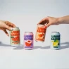 Soda Pastèque Citron vert 33cl - Living Things - vegetalfood