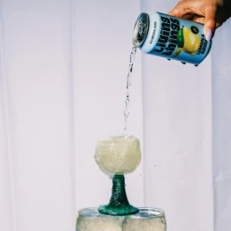 Soda Citron Gingembre 33cl - Living Things - vegetalfood
