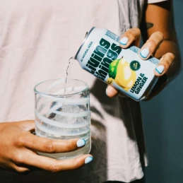 Soda Citron Gingembre 33cl - Living Things - vegetalfood