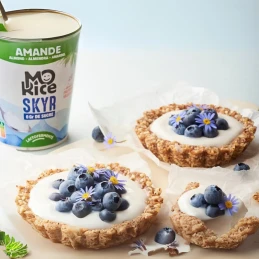 Skyr végétal nature 350 BIO gr - MORICE