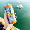 Boisson tropicale 25cl – Ifruit - vegetalfood
