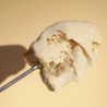 This is not Cheese Fondue - Willicroft
