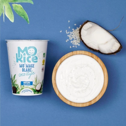 Momage blanc (alternative végétale au fromage blanc) BIO 375 gr - MORICE