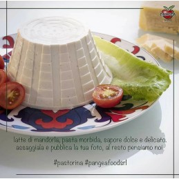 Pastorina Vromage Frais Italien - 250g - Pangea Food