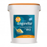 Levure Nutritionnelle Engevita enrichie en B12 - 650 gr - Marigold