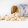 Cassis 180 comprimés (dont vitamine B12) - VEG1