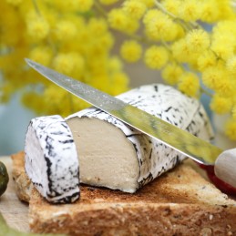 La Cendrée (alternative végétale au chèvre) 90 gr - VGIL'S