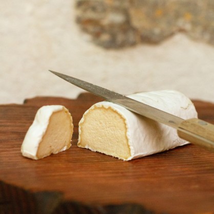 La Buchette (alternative végétale au chèvre) 90 gr - VGIL'S