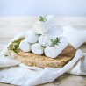 Jil alternative à la bûche de chèvre - Jay&Joy - vegetalfood