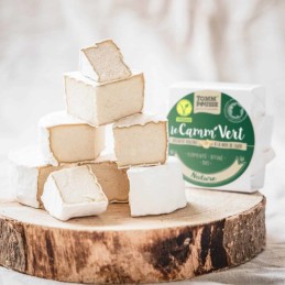 Camenvert (alternative végétale au camembert) 100 gr - TOMM'POUSSE