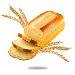 DDM 04/08/25 - Brioche Tranchée Vegan 500 gr - LA FOURNEE DOREE